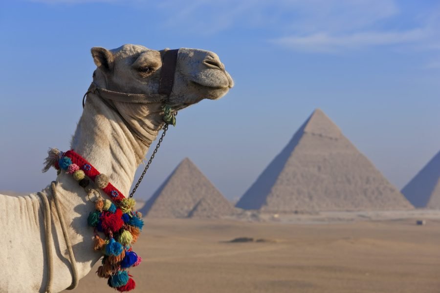 Full Day Tour from Cairo to Luxor, Domestic Flights Included